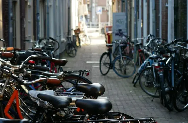 Leiden